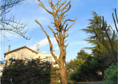 Particulier 16